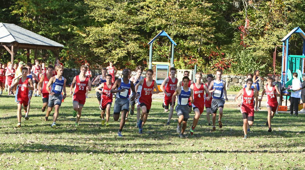 THE 2014 Middlesex Freedom League champion Melrose High boy's cross country team. (file photo) 