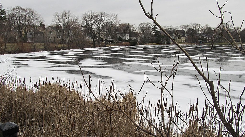 THE weekend thaw brought ice floes to Lake Quannapowitt. (Gail Lowe Photo)