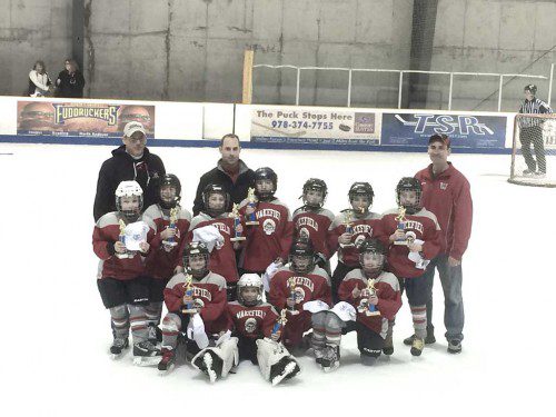 THE MITE 1 hockey team is the 2015 Valley League champion. In the front row (left to right) are J.P. Casey, Brian Purcell, Daegan Pothier and Cameron Jaena. In the middle row (left to right) are Aidan Martin, Dylan Wickwire, Michael Arria, Jeffrey McGann, Richie Farrell, Chappie Holleran and Joe Gaffney. In the back row (left to right) are Coaches Brian Purcell, Joe Gaffney and Brian Casey.