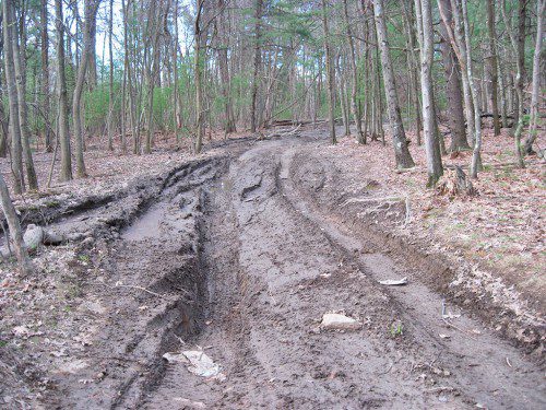 A DIRT road leading into a wooded area that extends beyond Sunset Drive has deep ruts that could possibly hold clues to the murder of a man found yesterday. (Gail Lowe Photo)
