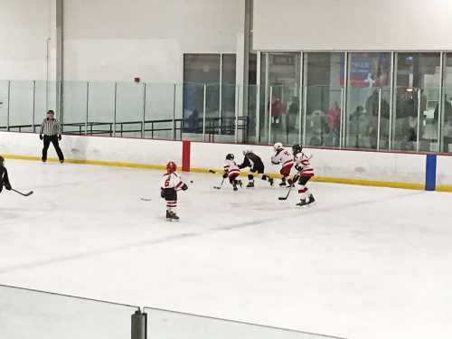 THE MELROSE girls U10 hockey team qualified for playoffs and forced a sudden-death overtime against Medfield last week. (courtesy photo) 