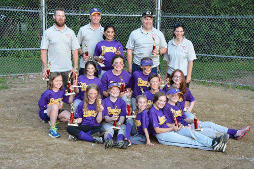 THE 2015 Wakefield Little League Softball Minor League Town Series Championship was won by the LSU Tigers. The Tigers went undefeated for the season and fought hard to win the championship. They battled the Hurricanes for the Town Series title. The coaches and the players on the team included Jeff Butland, Tim Donahue, David Vater, Jen Silva, Ria Patel, Abby Wojtaszek, Chloe Silva, Bianca Zani, Sofia Wojtaszek, Casey MacGibbon, Maggie Leone, Claire Donahue, Corrine Dunlap, Paige Butland, Taylor Vader and Sam Colliton.  (Eric Wojtaszek Photo)