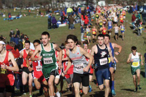 ADAM ROBERTO, a junior, was Wakefield’s top finisher in the Div. 4 Eastern Mass. Championships on Saturday. Roberto secured 15th place with a time of 17:14.70 over the 5K course.