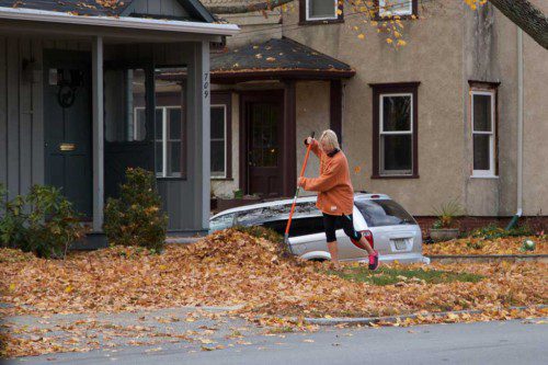LEAVES ARE FALLING everywhere and once you’re finished raking, it’s time to start all over again. This woman gets her yard in order on Main Street. (Donna Larsson Photo)