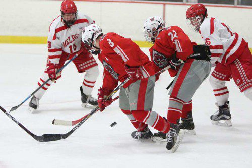 WARRIOR PLAYERS Anthony Funicella (#8) and Ty Collins (#22) chase a loose puck with a pair of Melrose players. Funicella assisted on of the Wakefield goals but the Warriors came up short in a 3-2 contest. (Donna Larsson Photo)