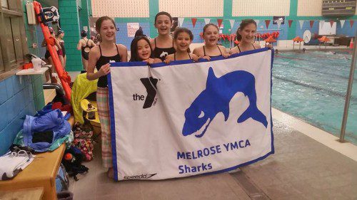 IT WAS a pure shark attack when the Melrose YMCA Shark swim team sent over 50 swimmers to the Eastern Ma Districts in January. 