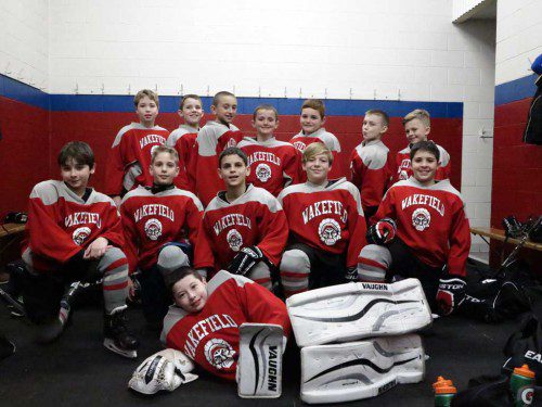LED BY Head Coach Brian Casey and Assistant Coaches Jack Haggerty and Shawn Linehan, the Wakefield Squirt 2 boys’ hockey team won the 2015-16 Squirt 2 District Championship and represented Wakefield this past weekend at the 2015-16 Squirt Tier III Massachusetts Hockey State Championships in Springfield. In the front row is Alex Dubow. In the second row are Brian Casey, Vincent Kaddaras, Jake Haggerty, Joshua Linehan and Brendan Campea. In the third row are Christopher Champa, Ryan Sallee, Zachary Laverdure, Cameron Jaena, Chappie Holleran, Franklin Leone and Andrew Cappella.