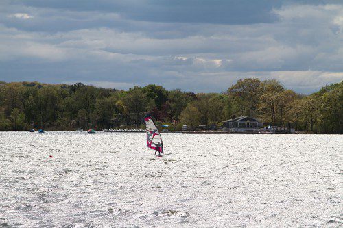 THIS WINDSURFER SHOWS some experience “hanging ten” on the choppy surface of Lake Quannapowitt recently. (Donna Larsson Photo)