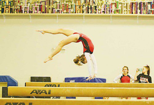 THE MELROSE High girls' gymnastics team had their best showing of the season in their win over Arlington on Friday, January 27. (Donna Larsson photo)