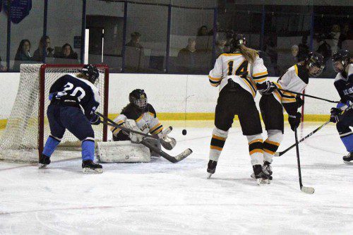 ELISE MURPHY (20) pressures Bishop Fenwick’s goalie at the net. It was an exciting game that ended in a 2-2 tie between the Tanners, a co-op girls’ hockey team comprised of Peabody, North Reading and Lynnfield, and the Crusaders. (Mark Grant Photo)