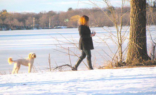 A WOMAN AND HER DOG took advantage of Sunday’s mild temperatures and enjoyed a walk along Lake Quannapowitt in the late afternoon sun. (Mark Sardella Photo)