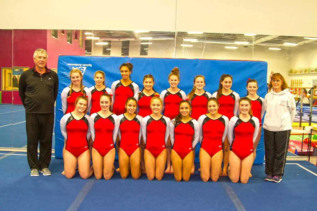 THE MELROSE HIGH gymnastics team represented well at the 2017 MIAA North Sectionals. Pictured is the team (back row, left) Asst. coach Dave Montani, Caroline Fogarty, Jane Harrington, Nicole Nzui, Gabrielle Prodgers, Elizabeth Blatchford, Katie Wright, Nia Kovacev, Brooke Barriss and head coach Denise Valdez.  (front row) Olivia Bernis, Mya Marshall, Tania Dutra, Shay Fennell, Stephanie Dutra, Isabel Albuja, Kara Fahey. Not pictured: Ciara Smith. (Donna Larsson photo)