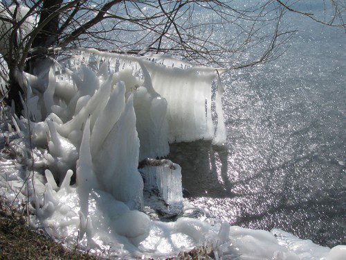 HIGH WINDS, splashing water and frigid temperatures over the weekend created some beautiful natural ice sculptures along the shores of Lake Quannapowitt. (Mark Sardella Photo)