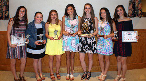THE AWARD winners (from left to right) were Courtney Hill (Player of the Year, Middlesex League All-Star), Juliette Guanci (Most Improved), Hope Melanson (Rookie of the Year), Brigid Scanlon (Warrior Pride Sportsmanship Award), Megan Horrigan (WYSA Dominic Giuffre Award), Brooke Lilley (Unsung Hero), and Olivia Cameron (Player of the Year, Middlesex league All-Star).