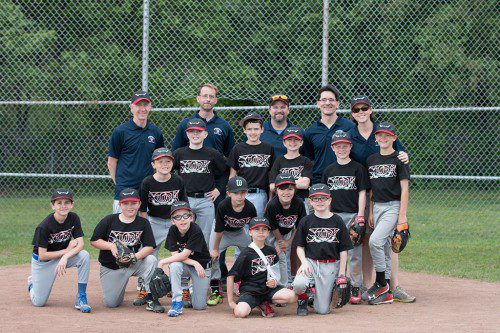 THE LAKE ELSINORE STORM were the champions of the Minor League division of Wakefield Little League Baseball. Front row (left to right) Sam Jurczak, Hudson Little, Nicolo Labieniec, and Jake Conners. Middle row (left to right) Nick Walczewski, Matt Reed, Collin Morris, and Brendan Lynch. Third row (Left to right) Cole Tucker, Nate Hollinden, Ian Christie, William Stanley and Jack Millward. Back row (left to right) manager Michael Labieniec, assistant coach Chris Christie, assistant coach Jeremy Little, assistant coach John Jurczak, and assistant coach Dawn Millward.
