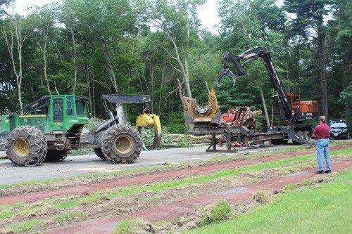DPW DIRECTOR John Tomasz watches contractors remove trees from the Lynnfield Middle School track and field complex July 27. (Dan Tomasello Photo)
