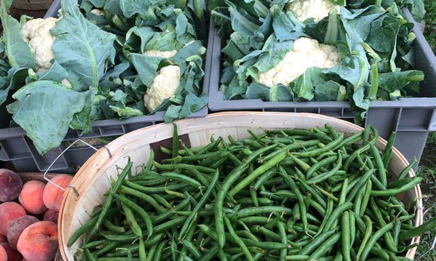29th Season of the Melrose Farmers’ Market has begun
